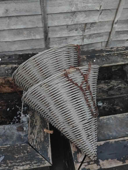 Photo of free Hanging baskets cone shaped (BA4) (evercreech BA4) #1