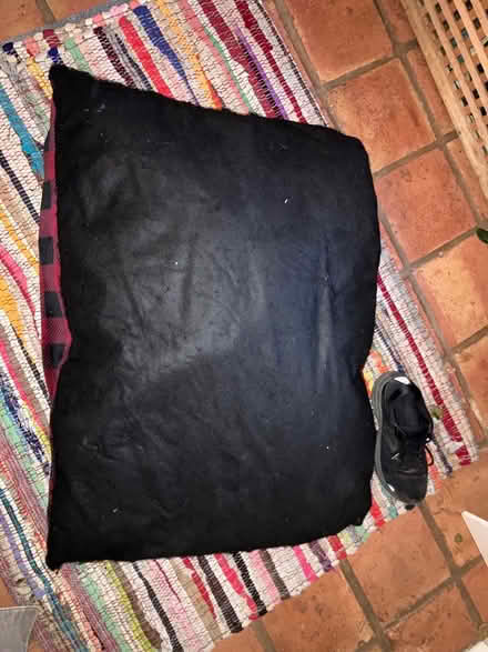 Photo of free Dog bed (sausalito) #1