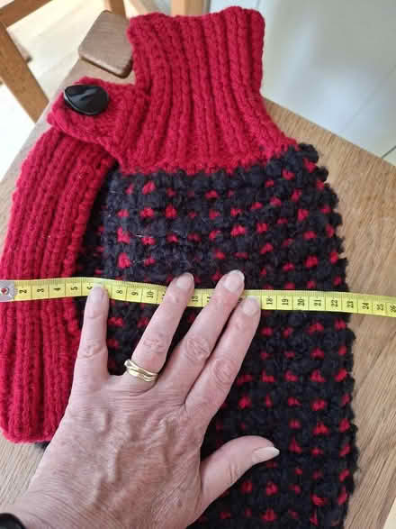 Photo of free Hand-knitted dog coat (Southborough TN4) #3