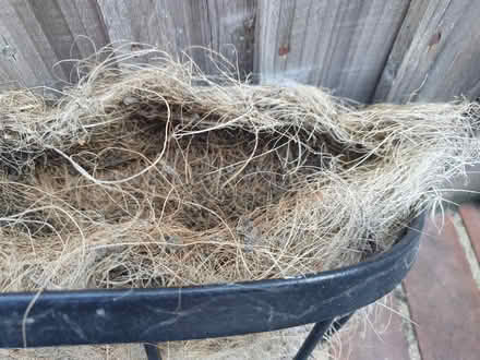 Photo of free two Wall Trough Basket 24" (West Malling, me19) #1