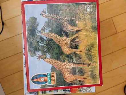 Photo of free Giraffe puzzle, Westvale (Westvale, Waterloo) #1