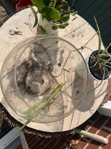 Photo of free Glass fish bowl (Caldecott OX14) #2