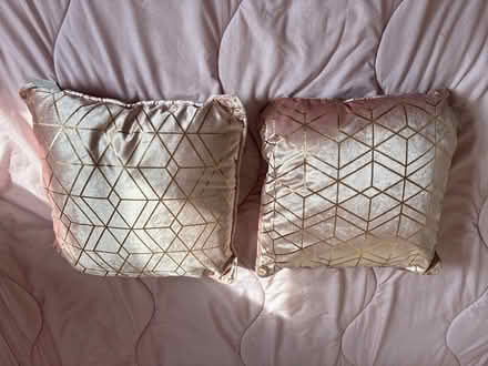 Photo of free Two Pink Cushions with gold pattern (Chippenham SN15) #1