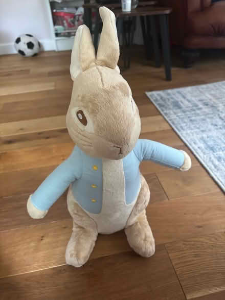 Photo of free Large Peter rabbit soft toy (Kenilworth CV8) #1