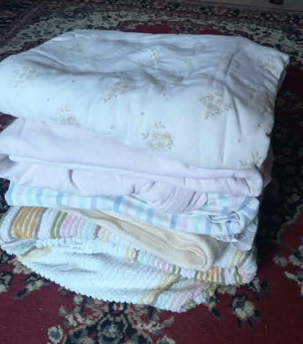 Photo of free Decorating sheets (Twyford RG10) #1