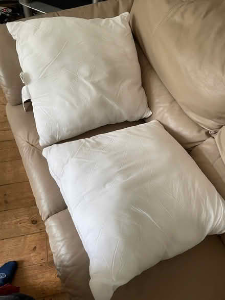 Photo of free Two cushion insides 50x50 cm (Chiswick W4) #1