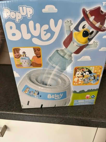 Photo of free Bluey toy (Kenilworth CV8) #1