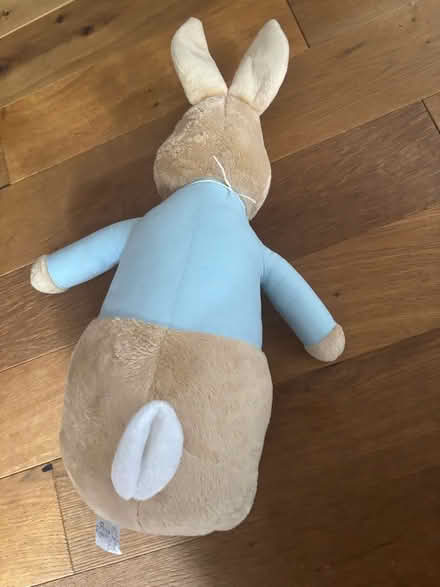 Photo of free Large Peter rabbit soft toy (Kenilworth CV8) #3
