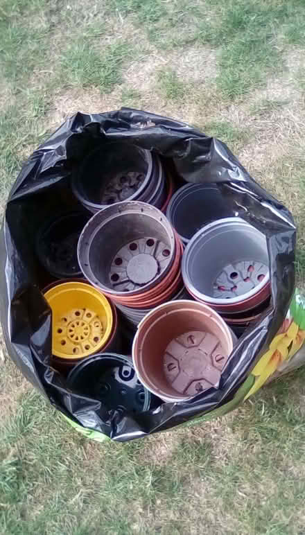 Photo of free Smaller plant pots (Priorslee TF2) #1