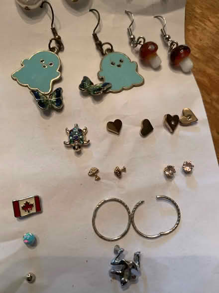Photo of free Assorted Earrings (South Brampton) #3