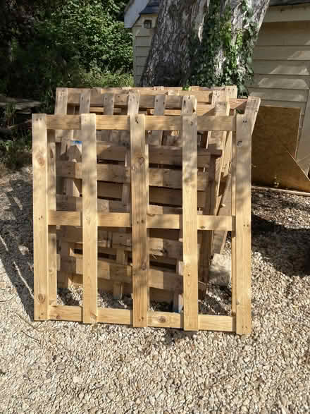 Photo of free Wooden pallets (Dorchester On Thames OX10) #1