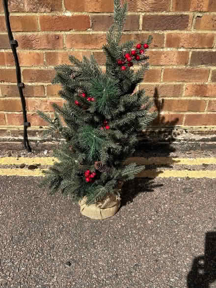 Photo of free Small Christmas tree (Withdean BN1) #1