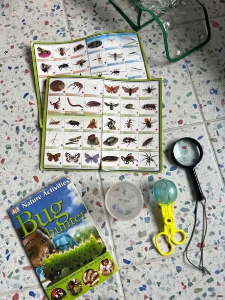 Photo of free Bug hunter kit for kids (Latchford WA4) #2