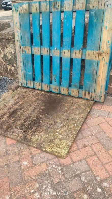 Photo of free Palett & chipboard (Allestree DE22) #1
