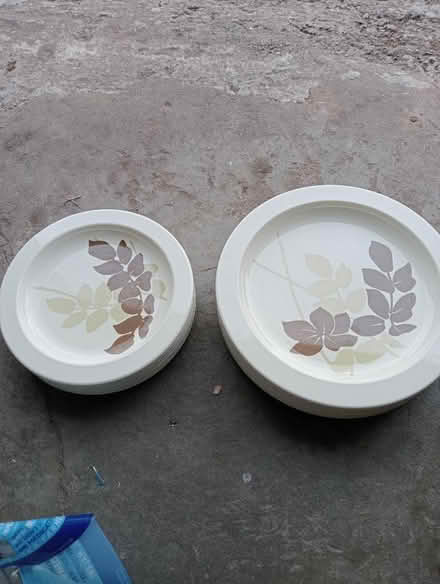 Photo of free 70s camping plates (Dovecote BS37) #1
