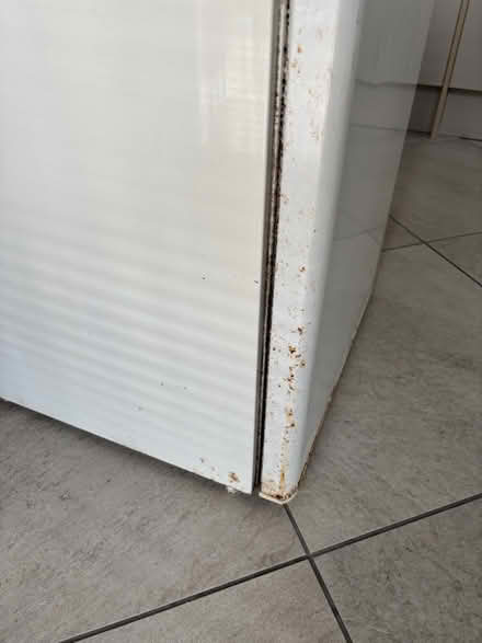 Photo of free Under counter fridge and freezer (Oxford OX33) #4