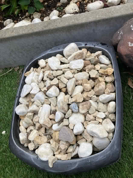Photo of free Garden stones (Romford RM1) #1