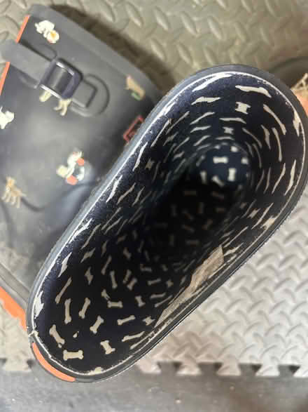Photo of free Joules wellies (Feltham TW14) #2
