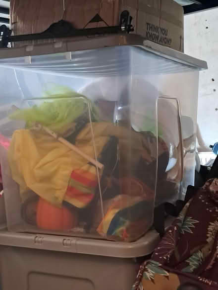 Photo of free Halloween stuff (DE24) #1