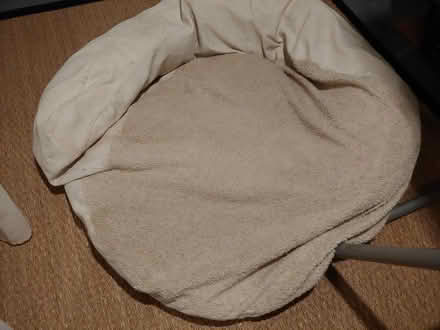 Photo of free Dog bed, large (Tenleytown) #1