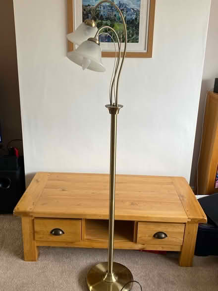 Photo of free Tall lamp approx 135cm tall (Great Barr B437LA) #1