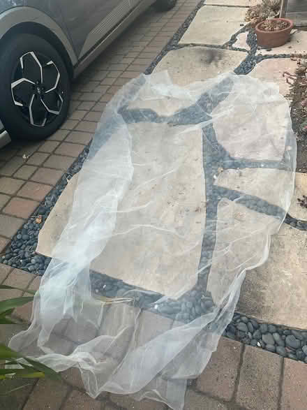 Photo of free 8’ x 10’ vegetable bed netting (Redwood city) #1