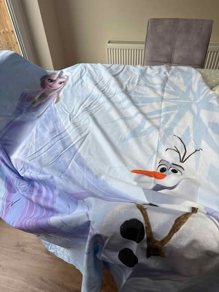 Photo of free Frozen single duvet cover (Shirley CR0) #1