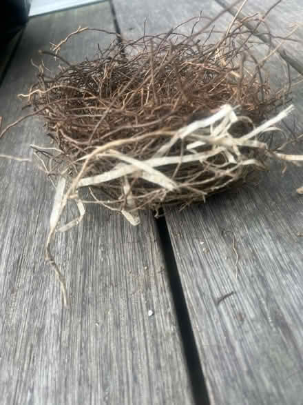 Photo of free Works of art! Human and bird made (Petworth/16th St Heights) #3