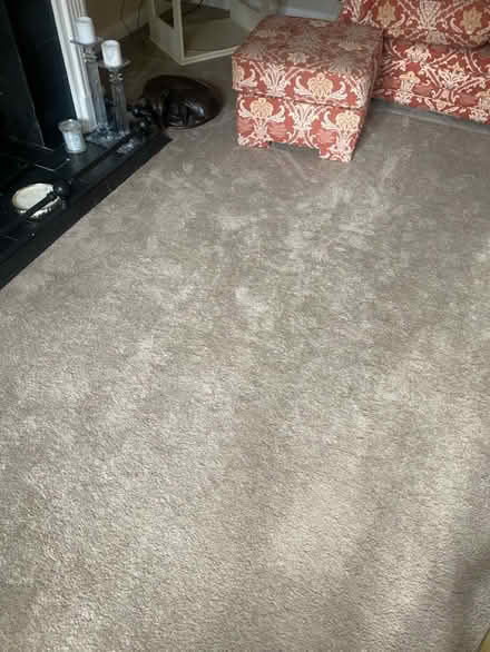 Photo of free Carpet - almost new (Sk95br) #1