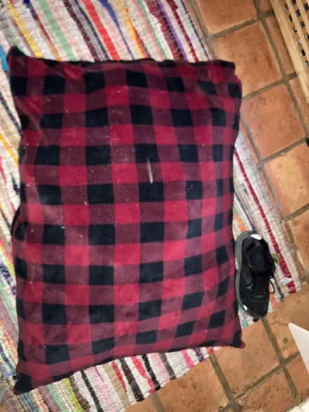 Photo of free Dog bed (sausalito) #2