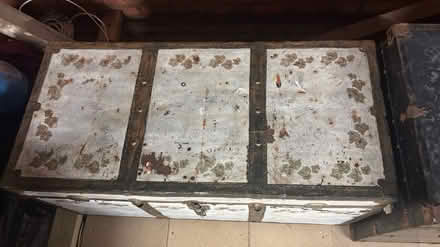 Photo of free Large Trunk #2 (Orpington) #2