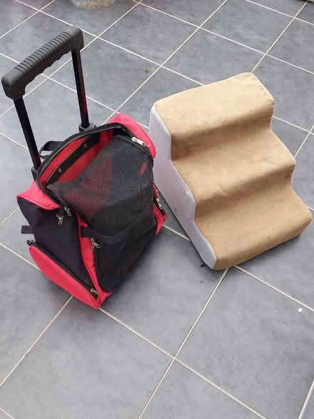 Photo of free cat litter deodorant, pet bow, cat tray cover, cat carrier b (Emlyn Gardens W12) #2
