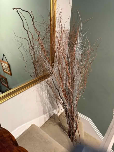 Photo of free decorative wooden twigs (Blackheath) #4