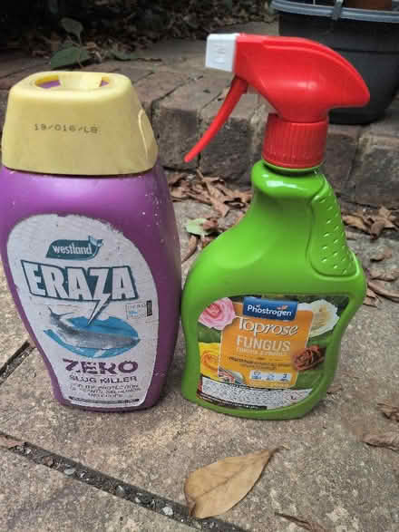 Photo of free Garden bits and pieces (Central Reading RG1) #1