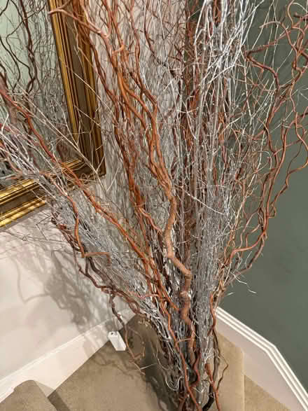 Photo of free decorative wooden twigs (Blackheath) #1