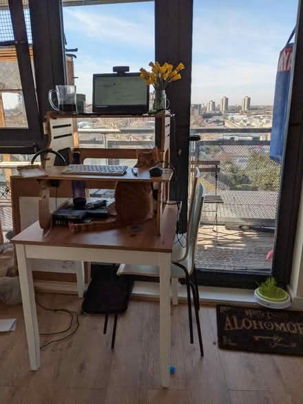Photo of free Adjustable desk riser (Cm79fs) #2