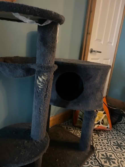 Photo of free Cat tree (B24) #2
