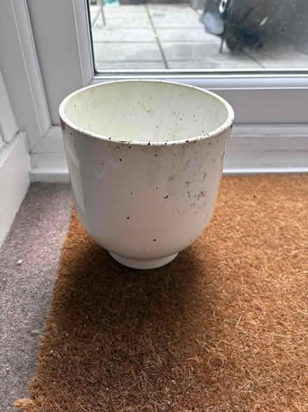 Photo of free White plant pot indoor/outdoor (Upper Sydenham SE26) #1