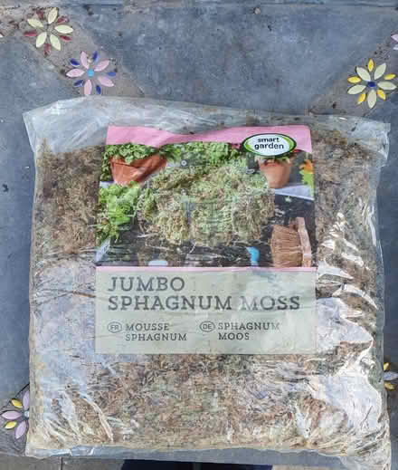 Photo of free Spagnum moss (South Chailey Lewes) #1