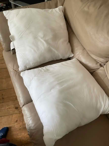 Photo of free Three cushion insides 50x50 cm (Chiswick W4) #1