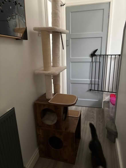 Photo of free Cat tree (CV21 1dg) #1