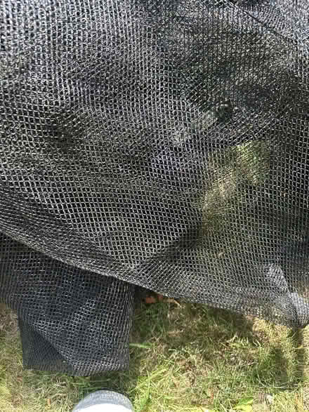 Photo of free Netting from a 14' trampoline (Sanderstead) #2