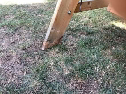 Photo of free Garden swing / seat (Boxted CO4) #4