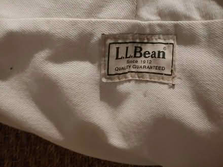 Photo of free Dog bed, large (Tenleytown) #3