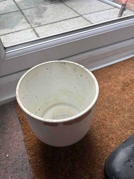 Photo of free White plant pot indoor/outdoor (Upper Sydenham SE26) #2