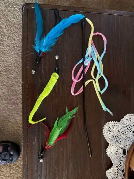 Photo of free Cat toys (NE Renton) #1
