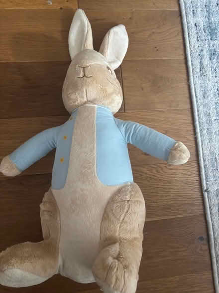 Photo of free Large Peter rabbit soft toy (Kenilworth CV8) #2