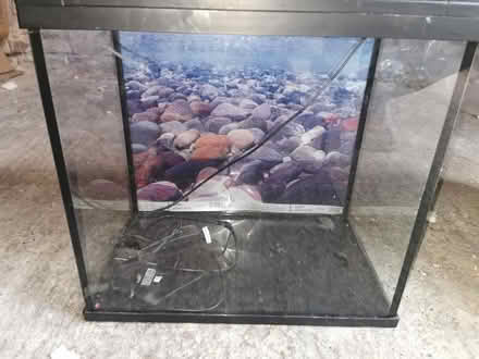 Photo of free Small fish tank (LE9 (Earl Shilton)) #1