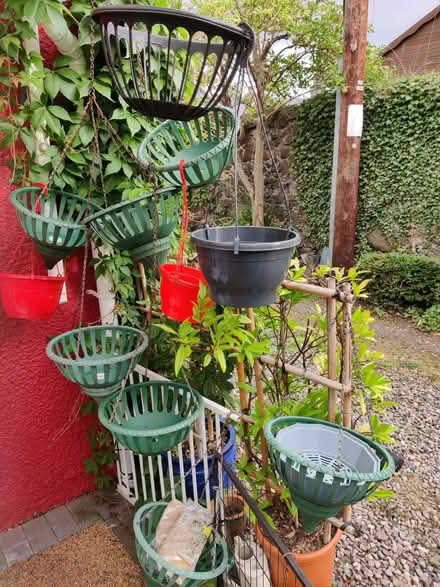 Photo of free Hanging baskets (Markinch KY7) #1