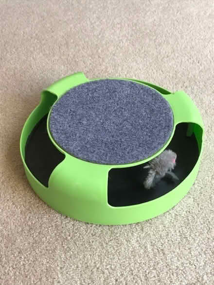 Photo of free Cat toy (Cheapside SL5) #1